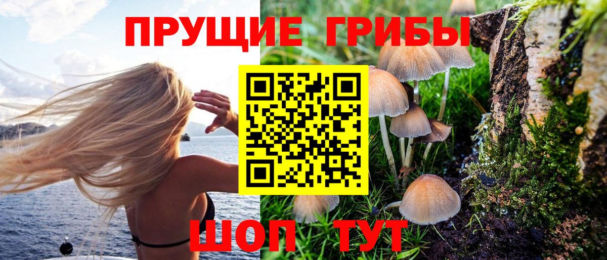 Галлюциногенные грибы прущие грибы  Вход с VPN  Солнечногорск  Галлюциногенные грибы мухоморы 